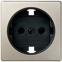 Лицевая панель Simon82 для 1-м. розетки 220В шампань картинка